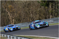VLN-1170009abea.jpg