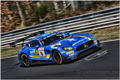 VLN-1170009abea.jpg