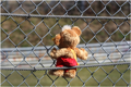 VLN-1170009abea.jpg
